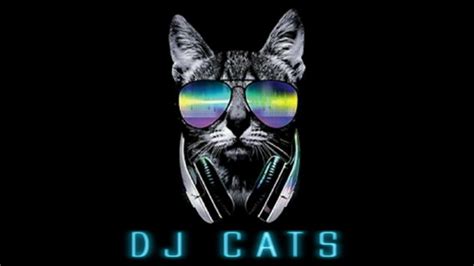Cutie Girls Dj Cats Thailand Remix Youtube
