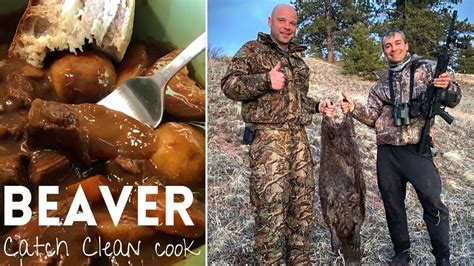 Beaver Hunting Public Land Co Catch Clean Cook Beaver Stew Youtube