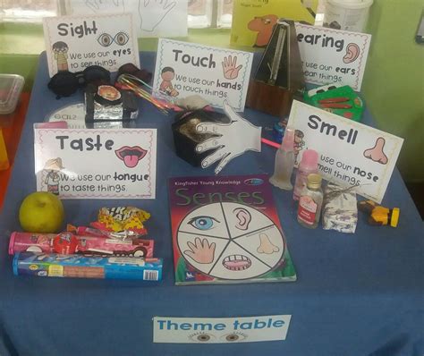 Senses Theme Table Senses Craft Five Senses Prebabe Senses Activities Eyfs Activities