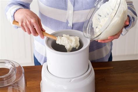 How To Make Frozen Yogurt