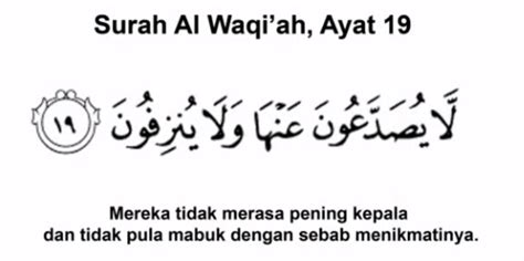 Al Waqiah Ayat 19 Eomoni Web