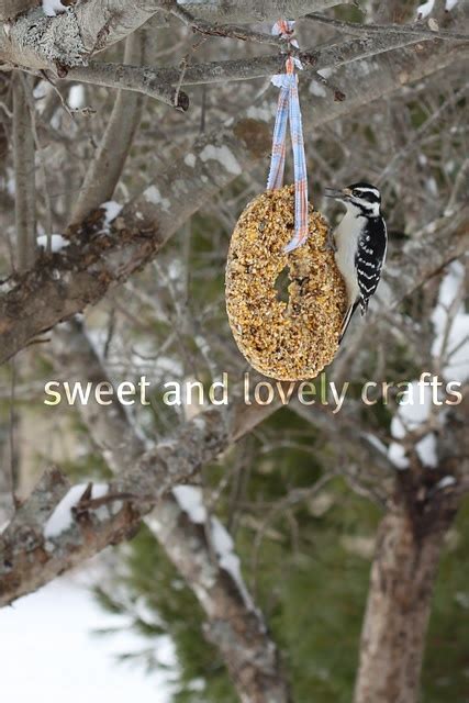 Bird Seed Block Recipe Gelatin Angel