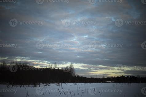 Evening Landscape In Winter Depressing View Of Nature Of Russia