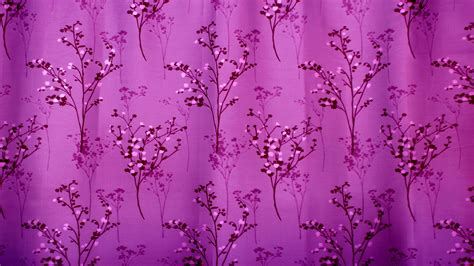 Purple Curtains Background Free Stock Photo - Public Domain Pictures