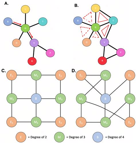 Graph Theory Application Figure Depicts Various Topological