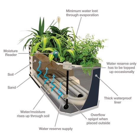 Raised Self Watering Garden Beds Diy Sub Irrigated Self Watering