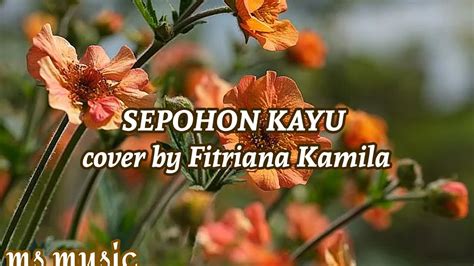 SEPOHON KAYU Jefri Al Bukhori Cover By Fitriana Kamila Lyrics Lirik