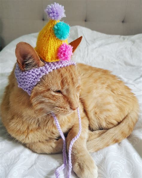 Party Cat Hat Birthday Hat For Cats Celebration Pompom Hat Etsy Uk