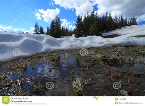 Melting Snow In The Mountains Stock Image Image Of Cloudscape