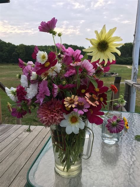 Maybe you would like to learn more about one of these? Starting Your Own Cut Flower Garden - Flower Selection ...