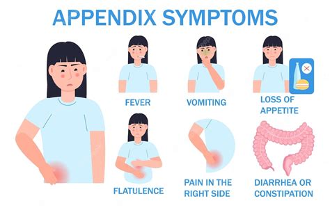 Premium Vector Appendix Symptoms Infographic Vector For Website