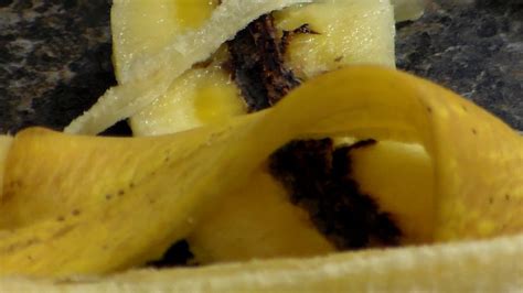 Black Spots Inside Banana Banana Skins Raa Raa The Noisy Lion