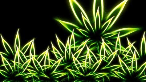 Green Neon Weed Leaves Black Background Hd Weed Wallpapers Hd