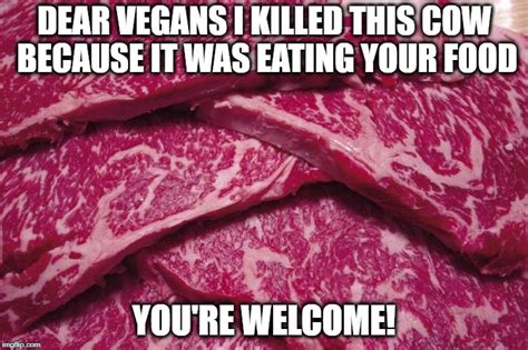 Dear Vegans Imgflip