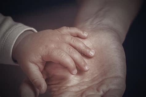 A Womanand X27s Hand Holding A Newborn Babyand X27s Hand Stock Photo
