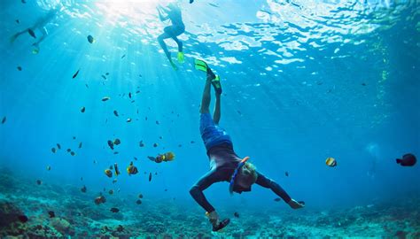 Search and apply for the latest dive instructor jobs. Go Study | Take a Scuba Diver course in Australia!