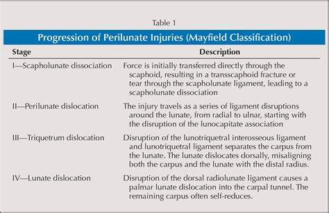 Perilunate And Lunate Dislocation Types