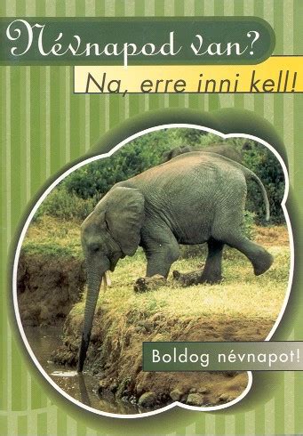 Online elküldhető tuti vicces képeslapok. Névnapi köszöntő - Pankagazdi