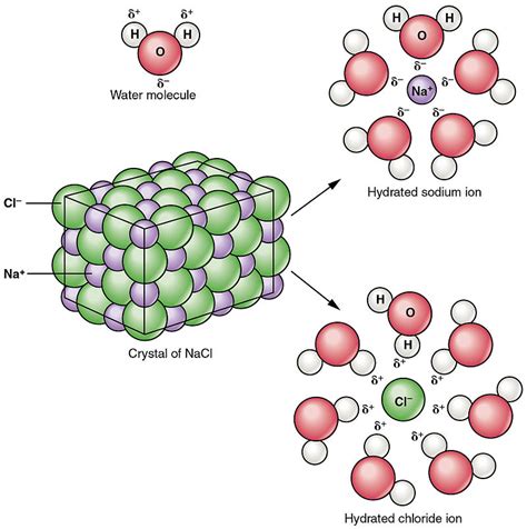 Difference Between Dissociation And Solvation Compare The Difference