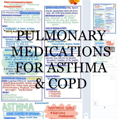 Pulmonary Medications Asthma And Copd Etsy
