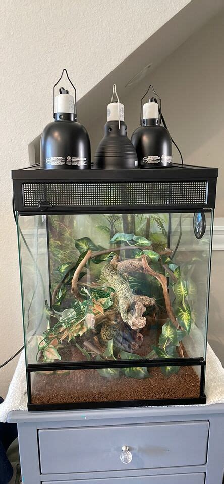 Thrive Tropical Reptile Terrarium 30 Gallon Tank With Misting System