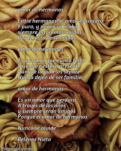 5 Poemas Amor De Hermanos Poemas Online