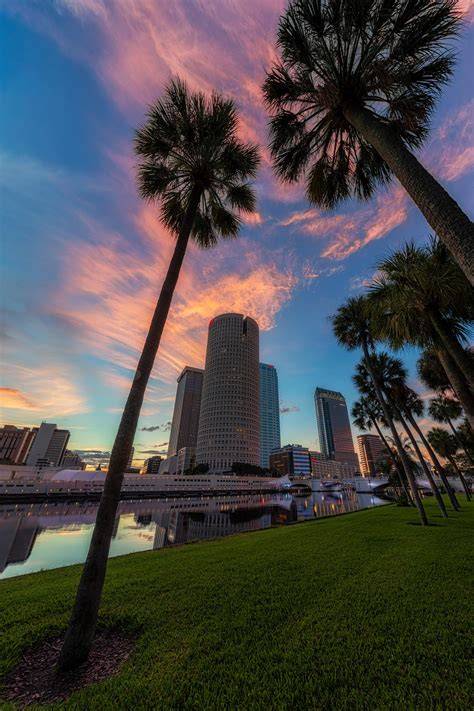 Tampa Leaning Palms Sunrise Open For Full Effect Rtampa