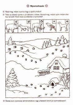 Tierspuren im schnee naturwissenschaft lernspiele vorschule wald nacht lernen tiere basteln. Die 11 besten Bilder von Tierspuren im Schnee | Montessori ...
