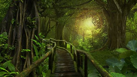 Jungle Bridge Wallpapers Top Free Jungle Bridge Backgrounds