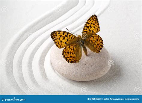 Zen Stone With Butterfly Stock Photo Image Of Purity 39053532