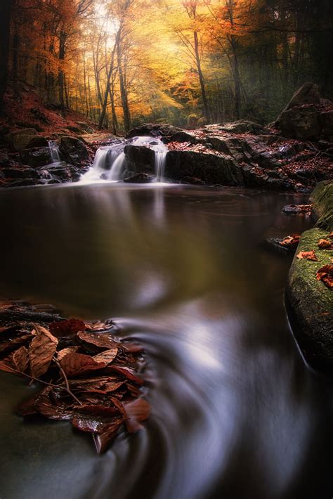 Autumn In Forest Iv By Lluis De Haro Sanchez On 500px Beautiful