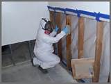 Mold Remediation Baltimore Md Images