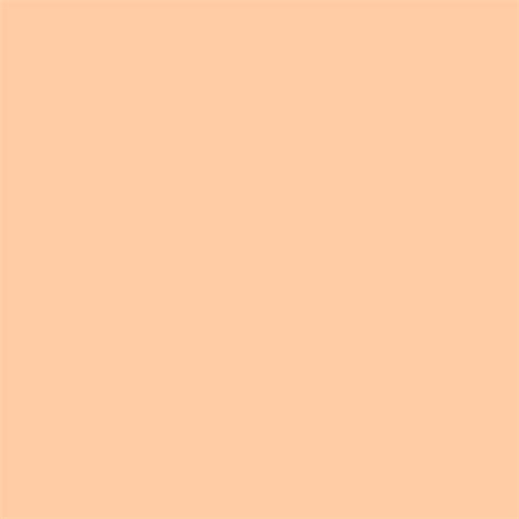 Free Download 2732x2732 Deep Peach Solid Color Background 2732x2732