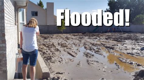 Backyard Flooding Youtube