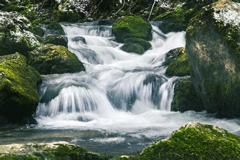 Beautiful River In Forest Photograph By Sandra Rugina Fine Art America
