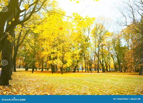 Autumn In The Park And On The Streets Stock Photo Image Of Mood