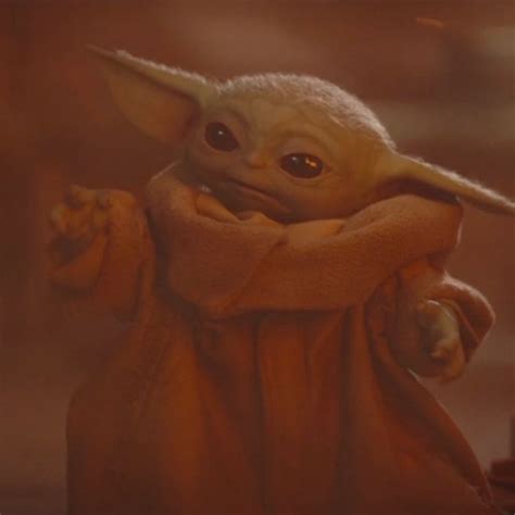 Disney Plus Fan Page Yoda Tonight Species Star Wars Warm