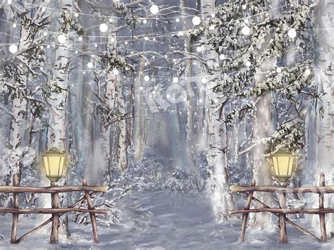 Kate Fine Art Backdrop Winter Snow Forest With Lights For Photography