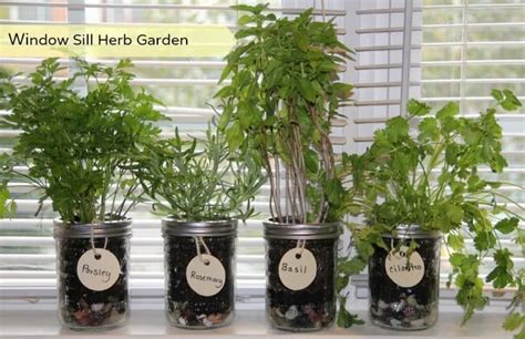 Our Southern Style Diy Window Sill Herb Garden Home Design Info