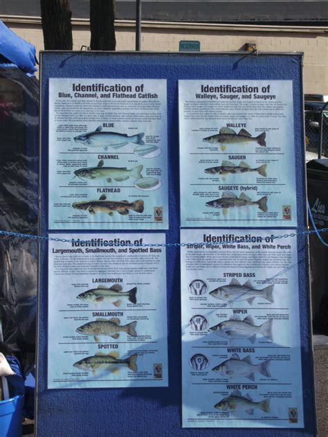 Kdwp Fishing Reports