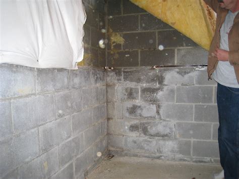 Dampness In Your Basement Walls What It Could Indicate Budget Dry