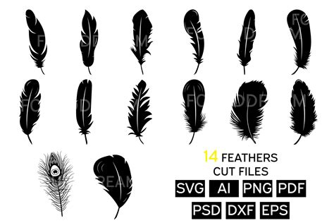 Feather Svg Clipart Digital Art Decor Cut File Images Vector Feathers