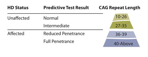 Submitted 3 days ago by eatingpotatoesrn. The genetic 'gray area' of Huntington's disease: what does ...
