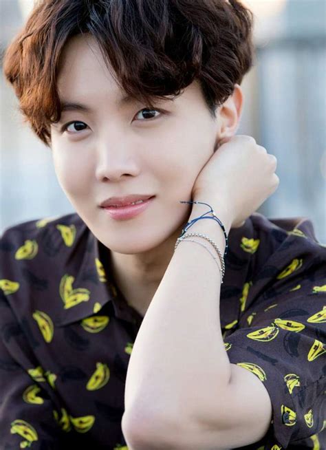 BiografÍa De Jung Ho Seok J Hope K Pop Amino