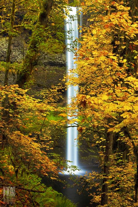 Free Images Tree Nature Forest Waterfall Creative Cold