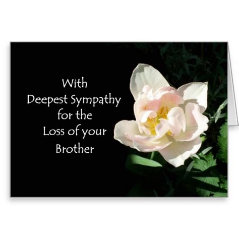 Brother Sympathy Images And Quotes Quotesgram