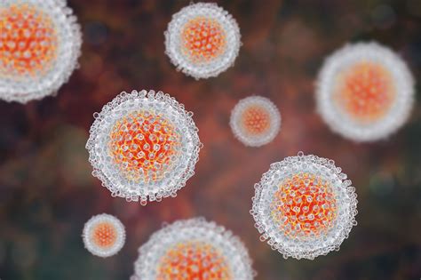 Hepatit c, oldukça yaygın görülen virüs kaynaklı bulaşıcı bir enfeksiyondur. Millions of Americans Have Hepatitis C. Most Don't Know It ...