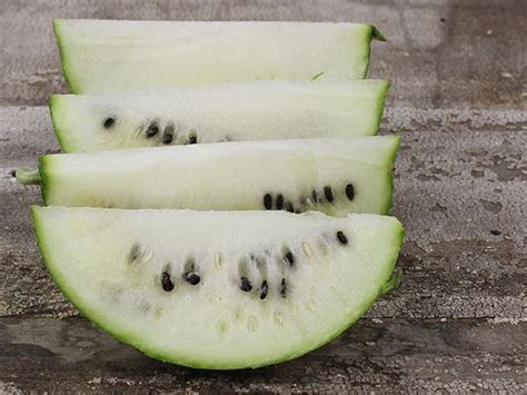 White Wonder Watermelon Baker Creek Heirloom Seed Co Heirloom Seeds