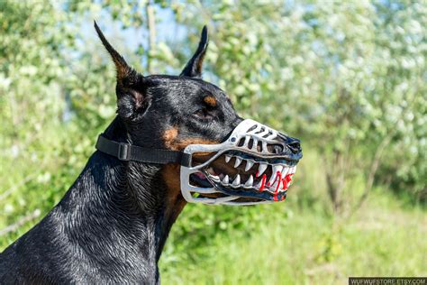 Scary Dogs Breeds Unnerving Images For Your All