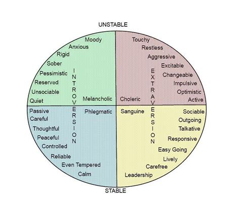 Body Type And Clasical Temperament Theory Somatotype Personality Type